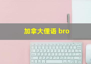 加拿大俚语 bro